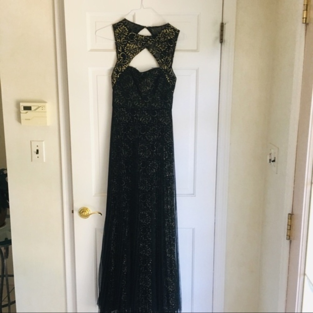 BCBG | Black &Gold Open Back Tulle Pleated Gown - Picture 2 of 9
